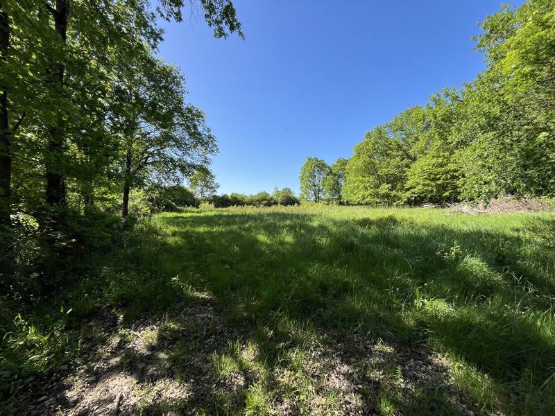 Vente Terrain VIERZON - -2020 m² - (18100)