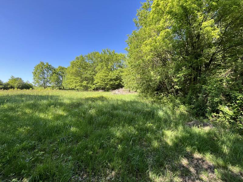 Vente Terrain VIERZON - -2020 m² - (18100)