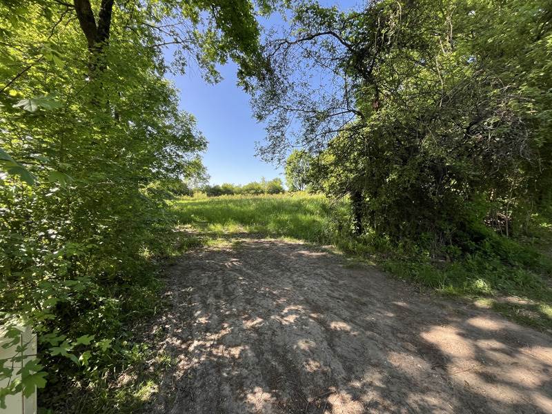 Vente Terrain VIERZON - -2020 m² - (18100)