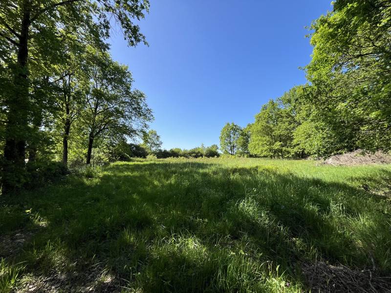 Vente Terrain VIERZON - -2020 m² - (18100)