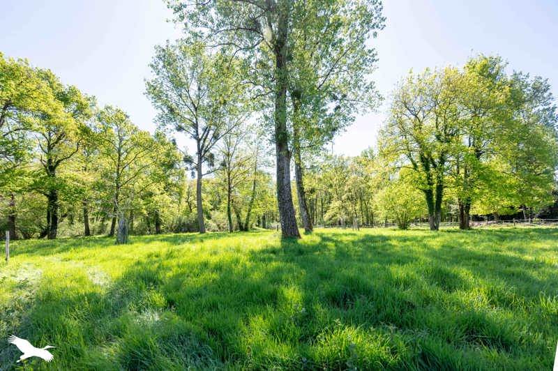 Vente Maison VOUZERON - 6 pièces -127 m² - (18330)