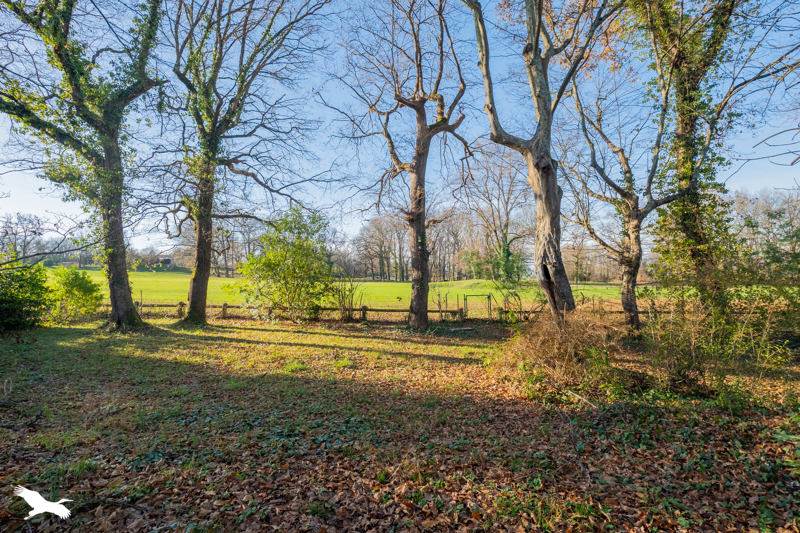 Vente Maison ST SULPICE ET CAMEYRAC - 15 pièces -363 m² - (33450)