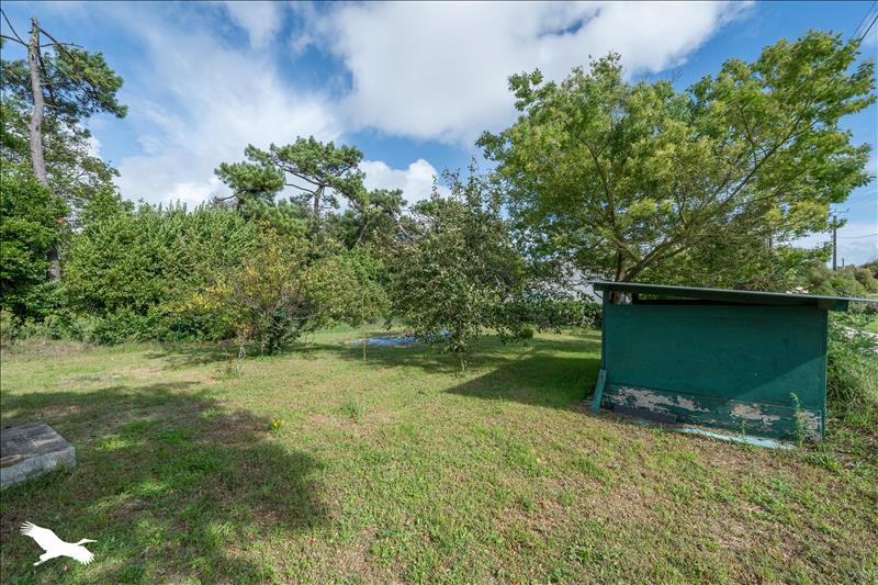 Vente Maison LE CHATEAU D OLERON - 1 pièce -65 m² - (17480)