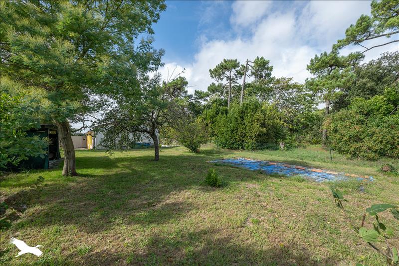 Vente Maison LE CHATEAU D OLERON - 1 pièce -65 m² - (17480)