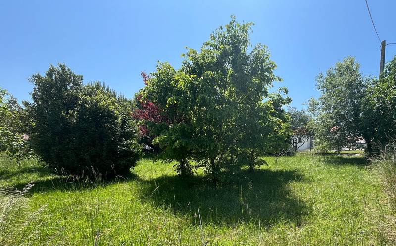 Vente Terrain LE CHATEAU D OLERON - -417 m² - (17480)