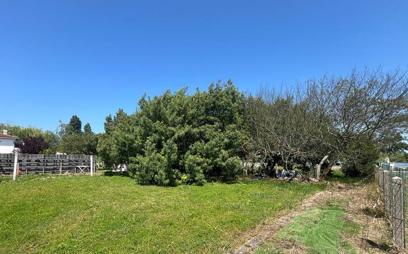 Vente Terrain LE CHATEAU D OLERON - -262 m² - (17480)