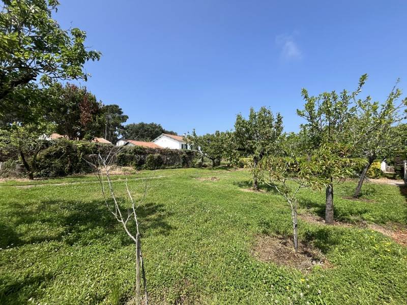 Vente Terrain LE GRAND VILLAGE PLAGE - -512 m² - (17370)