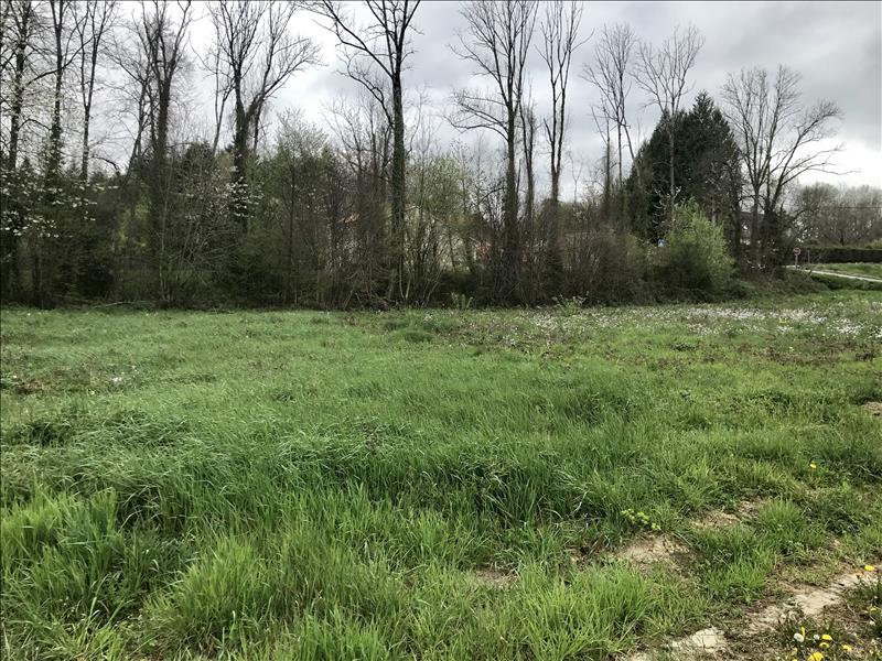Vente Terrain LA BARTHE DE NESTE - -1520 m² - (65250)