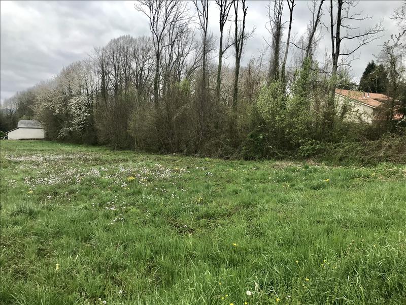 Vente Terrain LA BARTHE DE NESTE - -1699 m² - (65250)