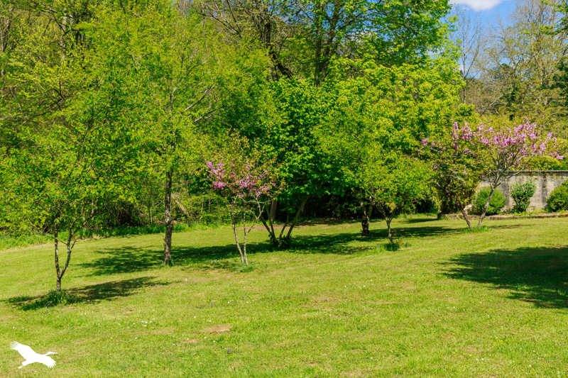 Vente Maison DURBAN SUR ARIZE - 17 pièces -490 m² - (09240)