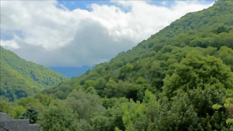 Vente Maison BORDES UCHENTEIN - 17 pièces -273 m² - (09800)