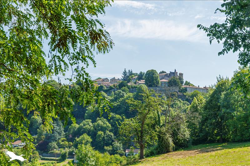 Vente Maison ST LIZIER - 8 pièces -233 m² - (09190)