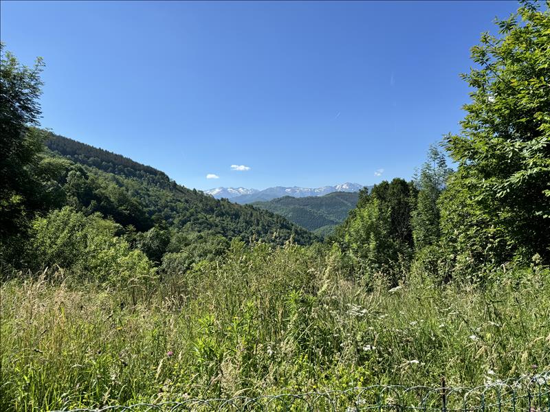 Vente Terrain ERP - -1784 m² - (09200)