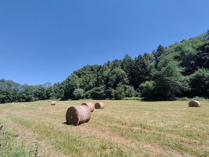 Vente Maison CASTELNAU DURBAN - 5 pièces -120 m² - (09420)