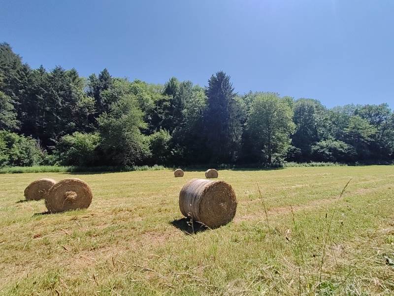 Vente Maison CASTELNAU DURBAN - 5 pièces -120 m² - (09420)