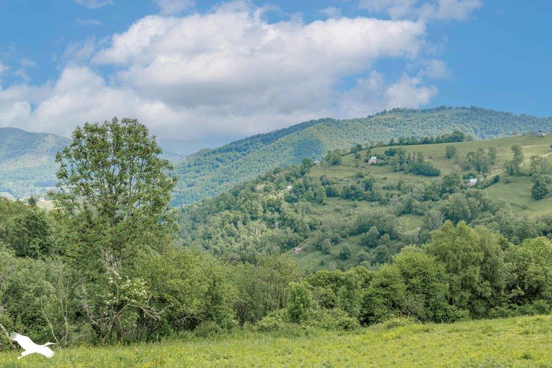 Vente Maison MOULIS - 4 pièces -117 m² - (09200)