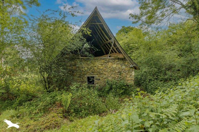 Vente Maison MOULIS - 4 pièces -117 m² - (09200)