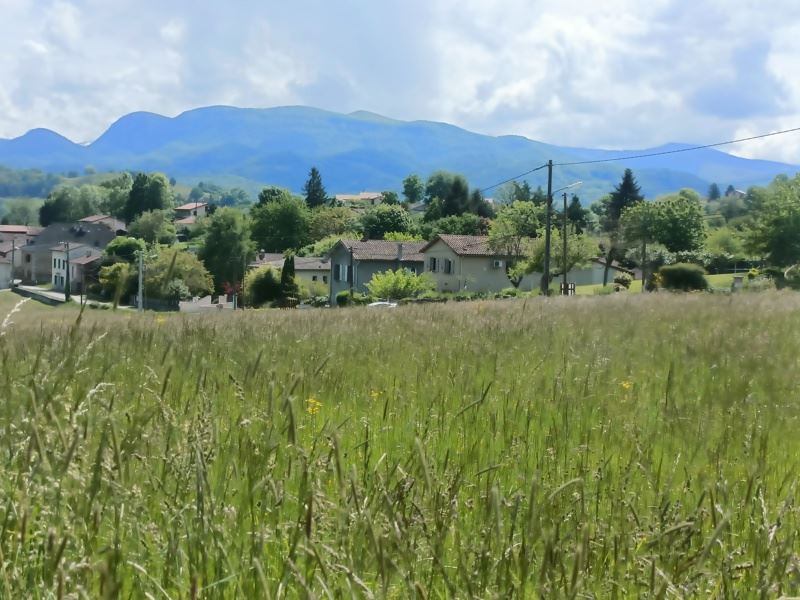 Vente Terrain MONTJOIE EN COUSERANS - -1200 m² - (09200)