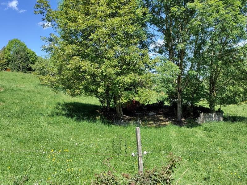 Vente Terrain MONTGAUCH - -830 m² - (09160)