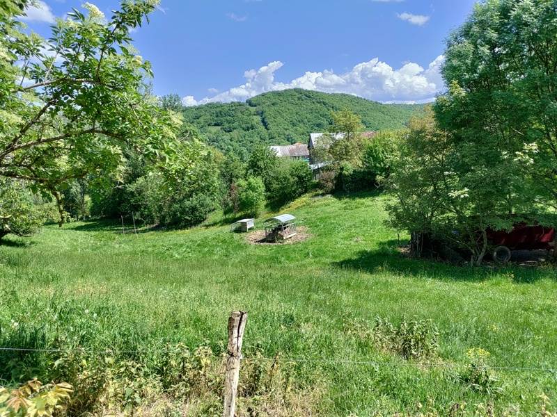 Vente Terrain MONTGAUCH - -800 m² - (09160)