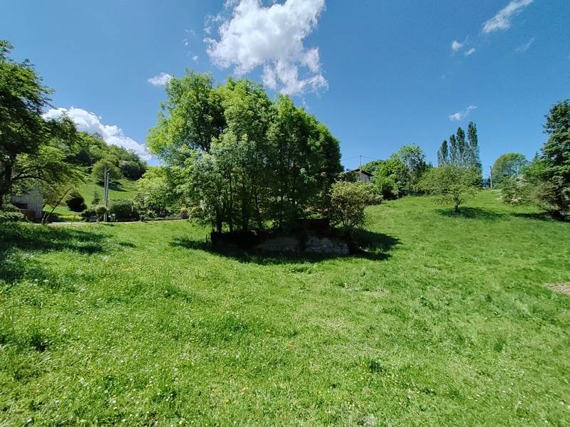 Vente Terrain MONTGAUCH - -800 m² - (09160)