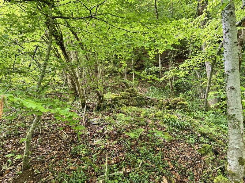 Vente Terrain AULUS LES BAINS - -13466 m² - (09140)