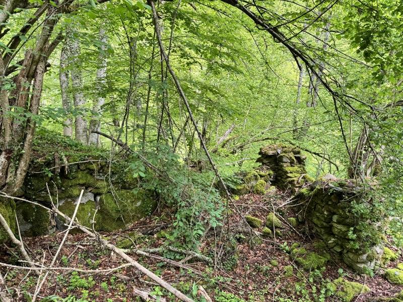 Vente Terrain AULUS LES BAINS - -13466 m² - (09140)