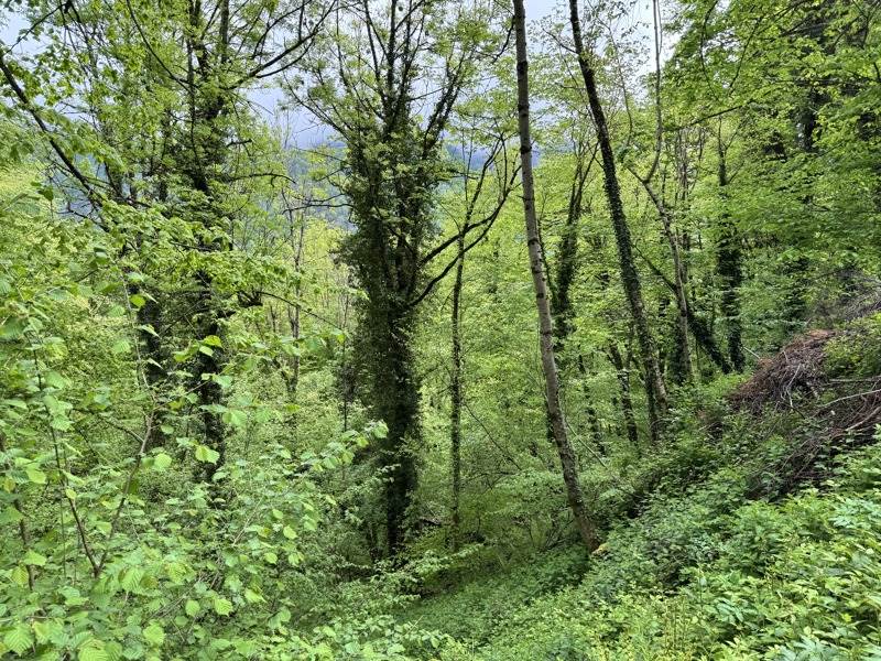 Vente Terrain AULUS LES BAINS - -13466 m² - (09140)