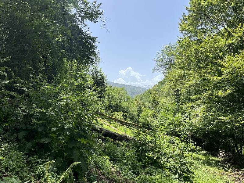 Vente Maison ENGOMER - 3 pièces -100 m² - (09800)