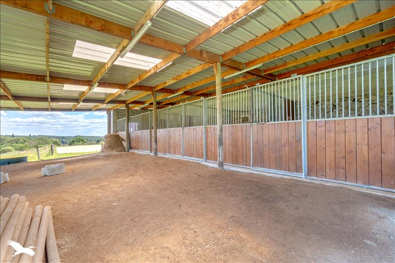 Vente Maison LE VIGEN - 8 pièces -589 m² - (87110)