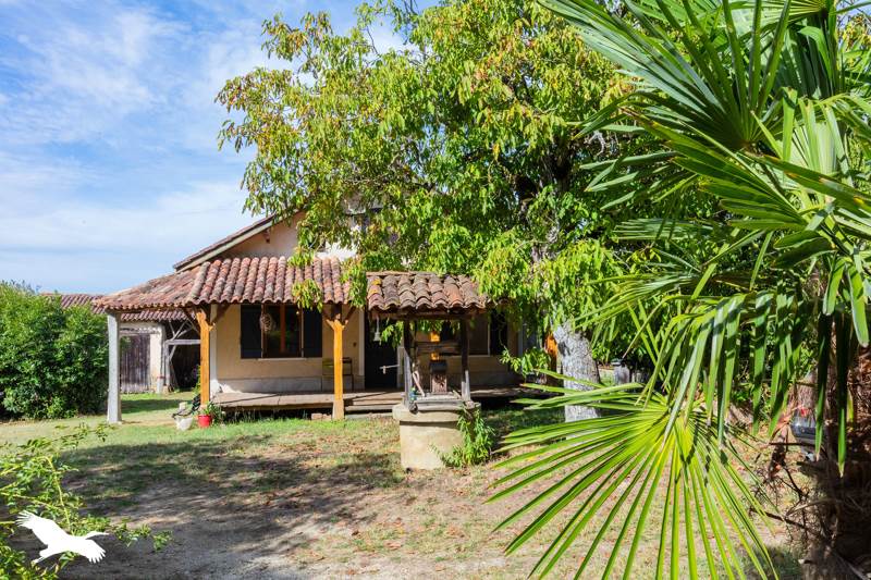 Vente Maison EAUZE - 4 pièces -150 m² - (32800)
