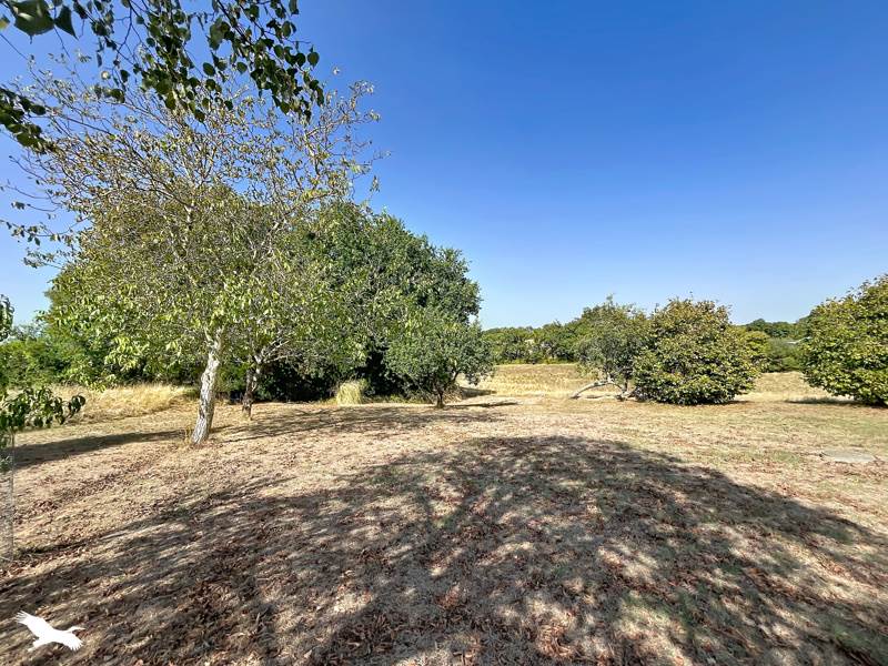 Vente Maison CASTILLON DEBATS - 5 pièces -166 m² - (32190)