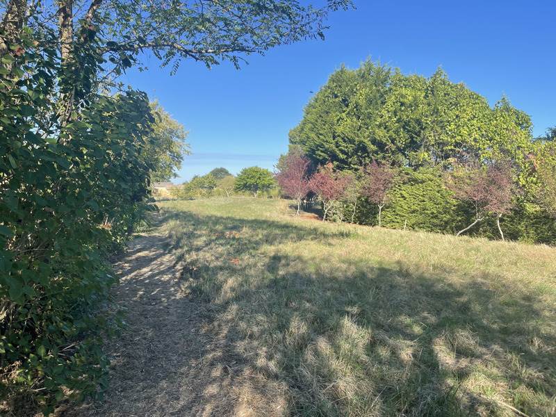 Vente Terrain Lagraulet-du-Gers - -3000 m² - (32330)