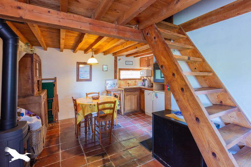 Vente Maison MAUVEZIN - 11 pièces -290,4 m² - (31230)