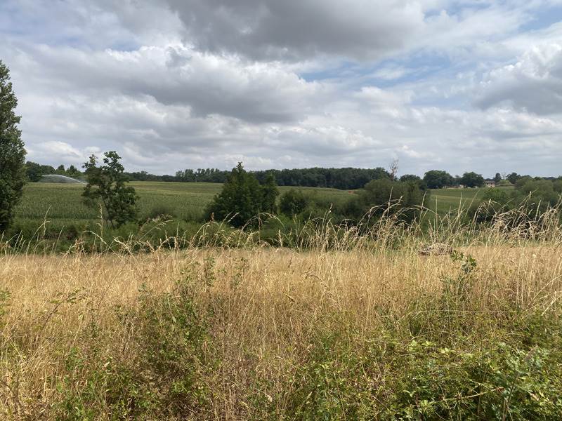 Terrain 1850 m² · à Montesquieu-Guittaut · 25 000 €