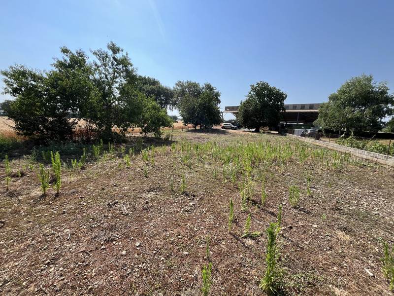 Vente Terrain ST PIERRE D EXIDEUIL - -910 m² - (86400)