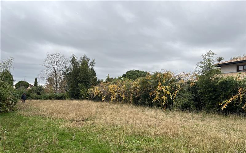 Vente Terrain DAX - -990 m² - (40100)
