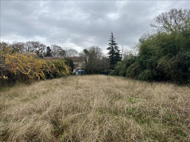 Vente Terrain DAX - -990 m² - (40100)