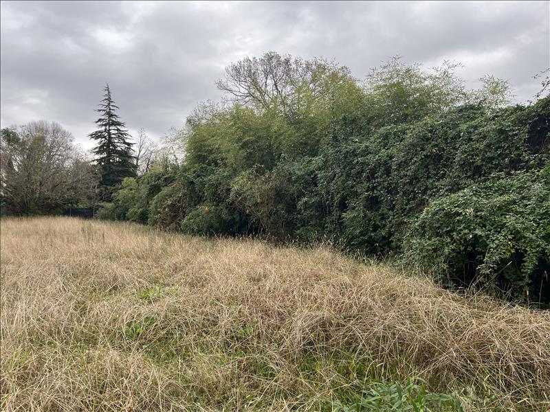 Vente Terrain DAX - -990 m² - (40100)
