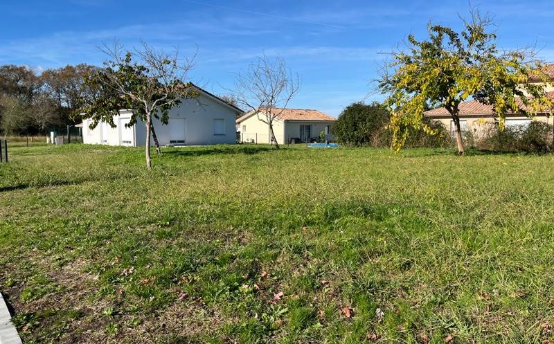 Vente Terrain NARROSSE - -666 m² - (40180)