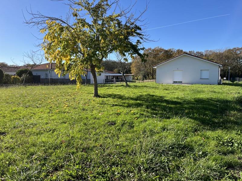 Vente Terrain NARROSSE - -666 m² - (40180)