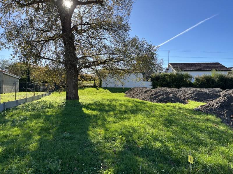 Vente Terrain NARROSSE - -579 m² - (40180)