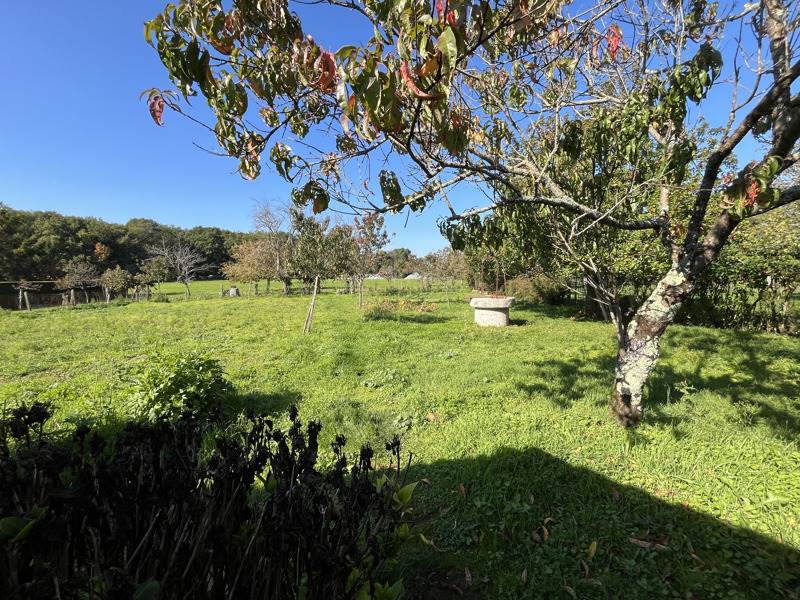 Vente Maison LA ROCHEFOUCAULD EN ANGOUMOIS - 4 pièces -45 m² - (16110)