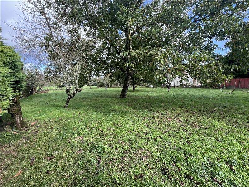 Vente Terrain LA ROCHEFOUCAULD EN ANGOUMOIS - -1508 m² - (16110)