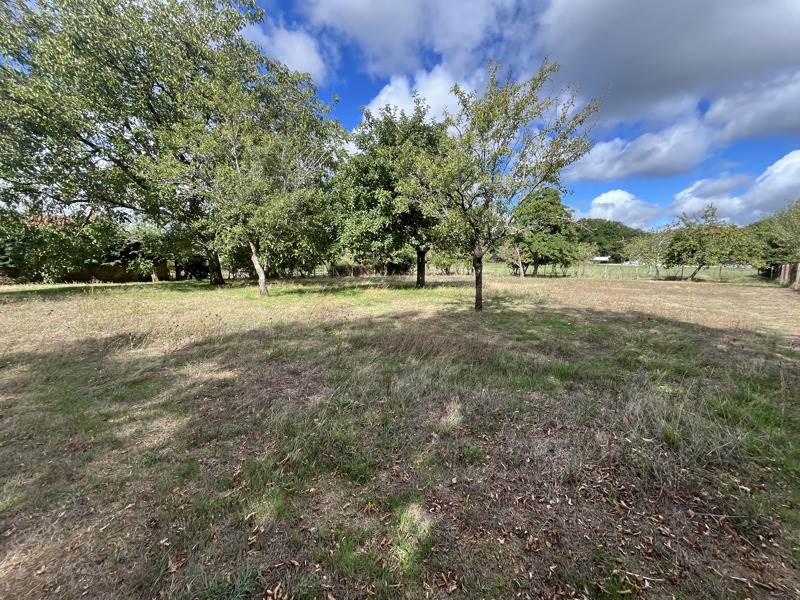 Vente Terrain LA ROCHEFOUCAULD EN ANGOUMOIS - -1508 m² - (16110)
