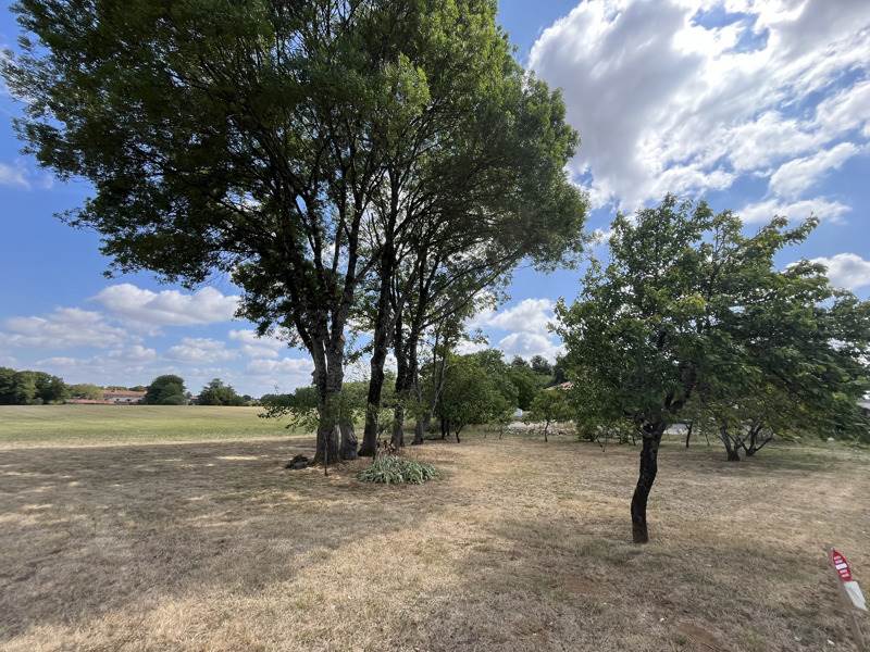 Vente Terrain TAPONNAT FLEURIGNAC - -1779 m² - (16110)