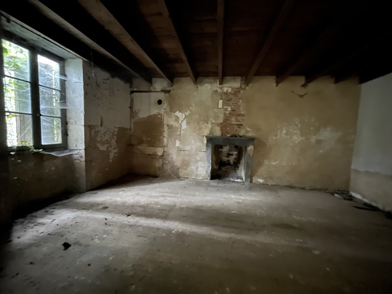 Vente Maison COULGENS - 5 pièces -300 m² - (16560)