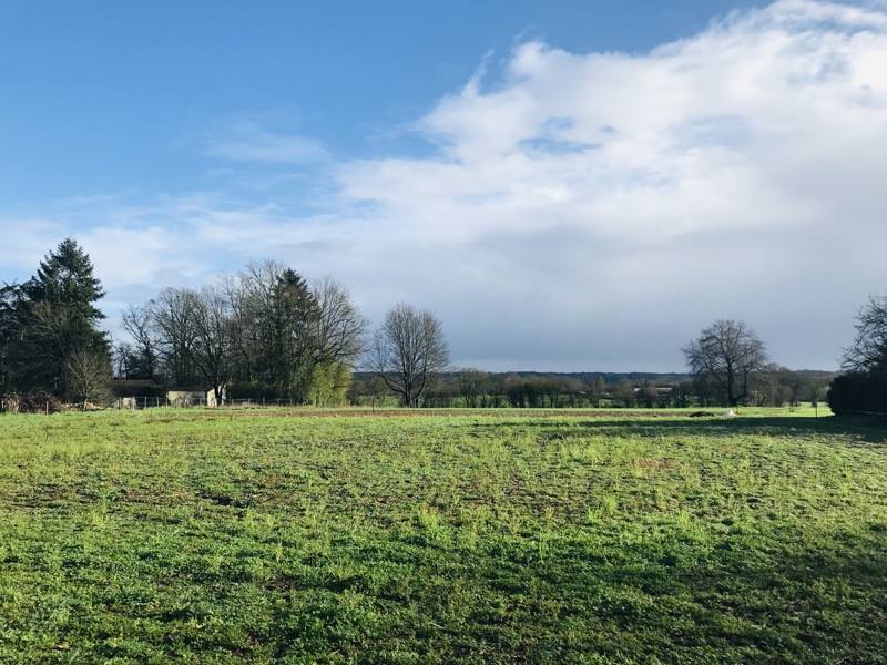 Vente Terrain AGRIS - -1795 m² - (16110)