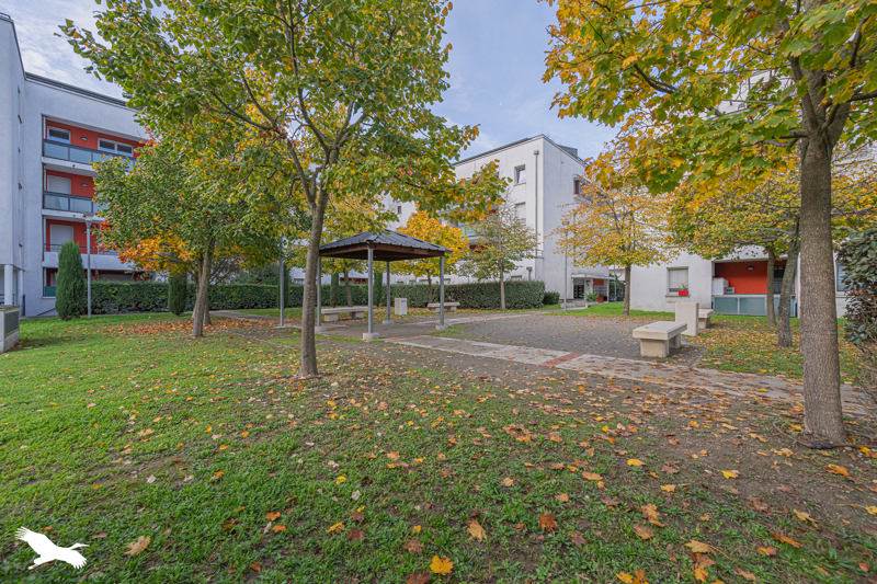 Vente Appartement TOULOUSE - 3 pièces -65 m² - (31200)