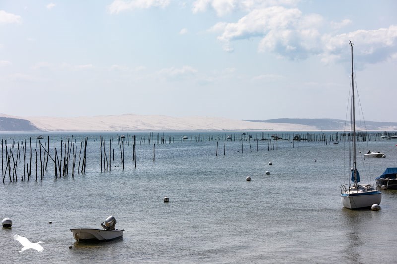 Vente Appartement LEGE CAP FERRET - 2 pièces -35 m² - (33970)